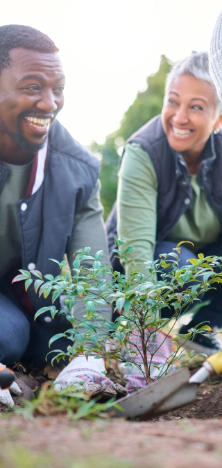 Volunteers planting trees, representing seamless donation payment processing solutions.